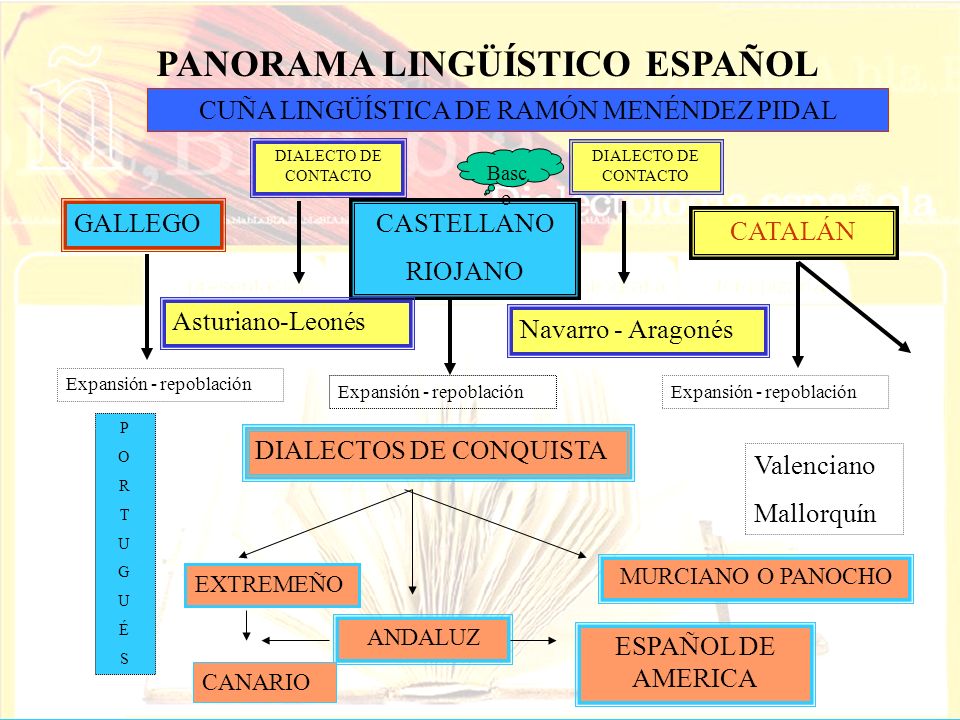 PANORAMA LINGÜÍSTICO ESPAÑOL