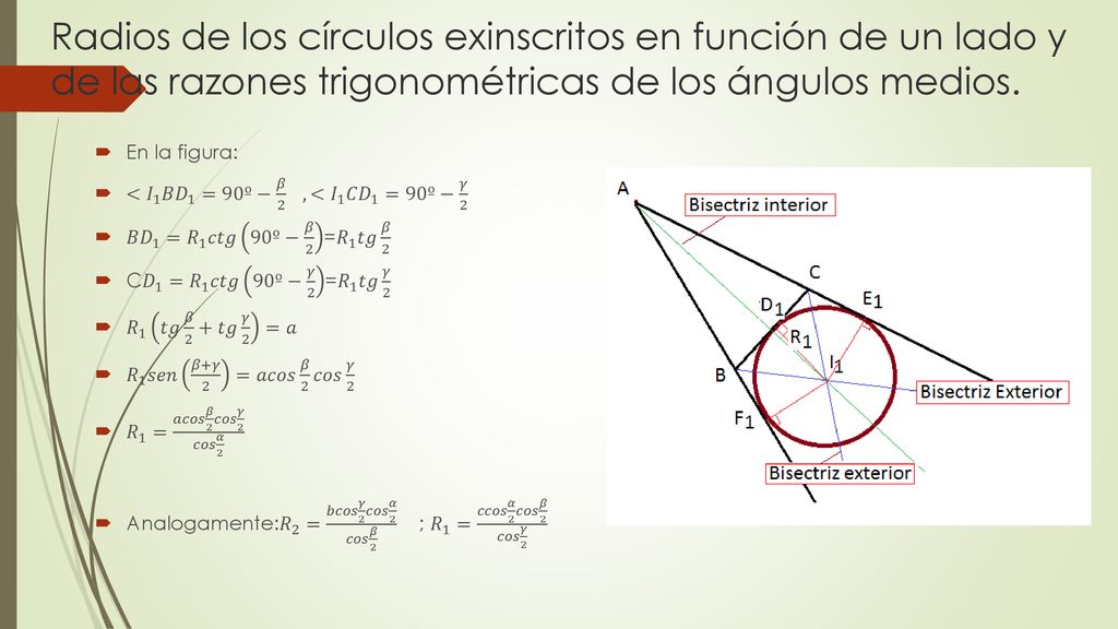 Radios de los círculos exinscritos en función de un lado y de las razones trigonométricas de los ángulos medios.