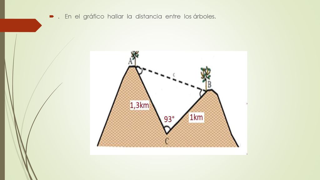 . En el gráfico hallar la distancia entre los árboles.