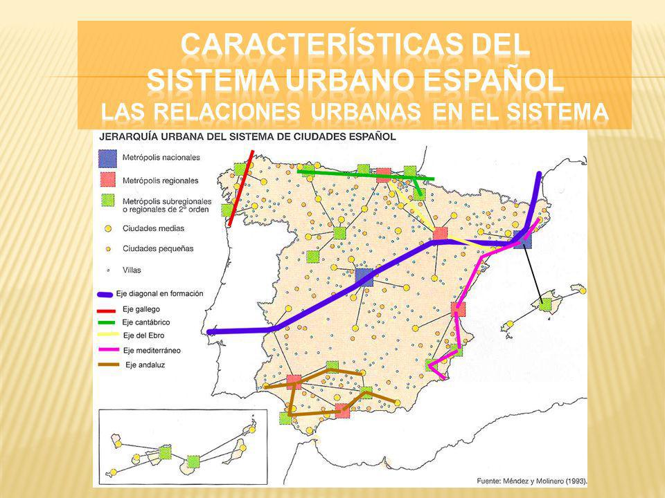 CARACTERÍSTICAS DEL SISTEMA URBANO ESPAÑOL Las relaciones urbanas en el sistema