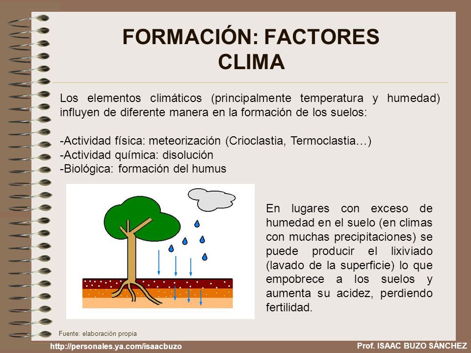 FORMACIÓN: FACTORES CLIMA