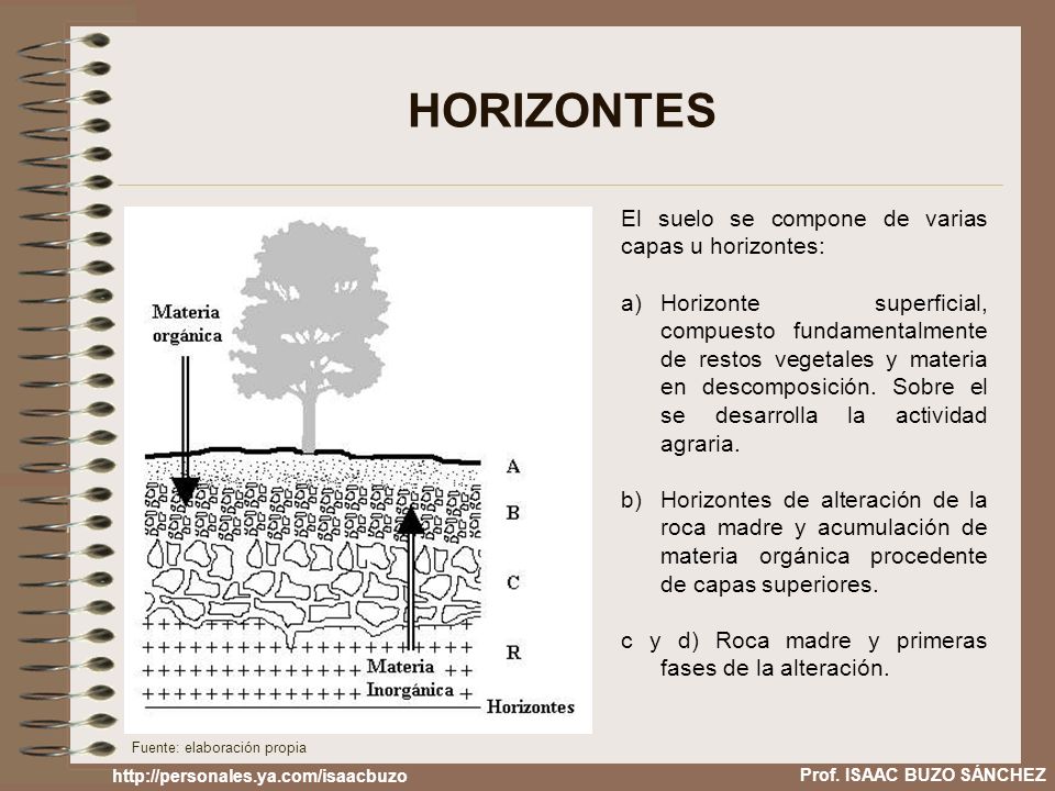 HORIZONTES El suelo se compone de varias capas u horizontes:
