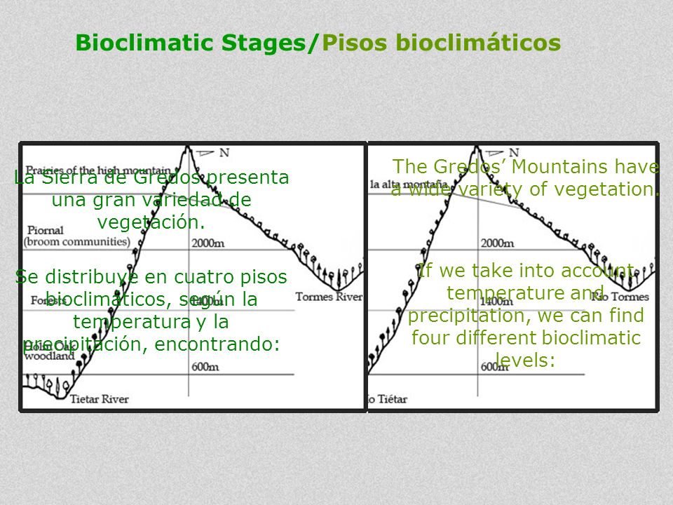 Bioclimatic Stages/Pisos bioclimáticos