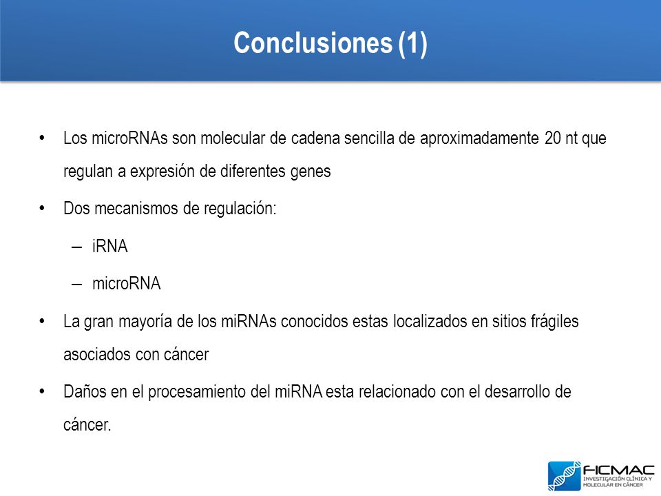 Conclusiones (1) Los microRNAs son molecular de cadena sencilla de aproximadamente 20 nt que regulan a expresión de diferentes genes.