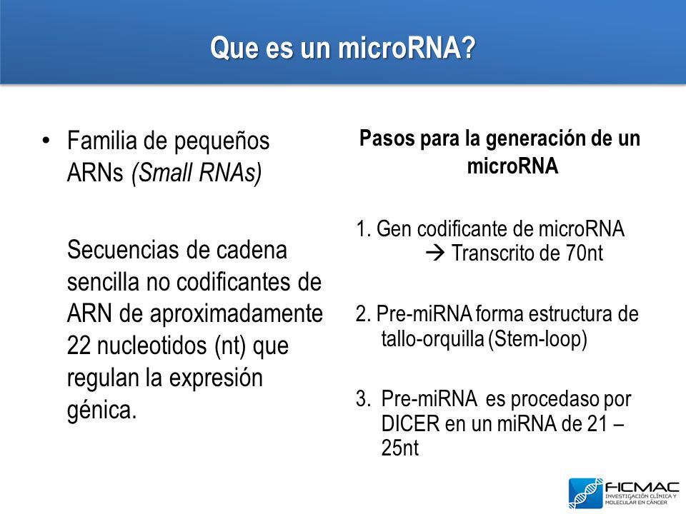Que es un microRNA Familia de pequeños ARNs (Small RNAs)