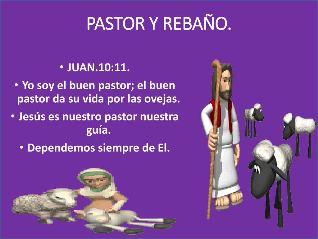 PASTOR Y REBAÑO. JUAN.10:11. Yo soy el buen pastor; el buen pastor da su vida por las ovejas. Jesús es nuestro pastor nuestra guía.