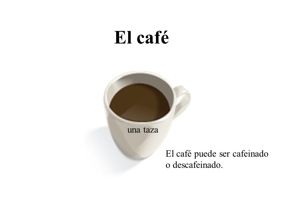 El café una taza El café puede ser cafeinado o descafeinado.
