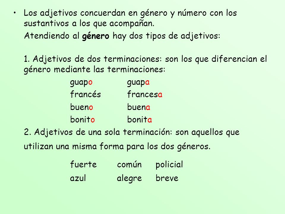 Los adjetivos concuerdan en género y número con los sustantivos a los que acompañan.