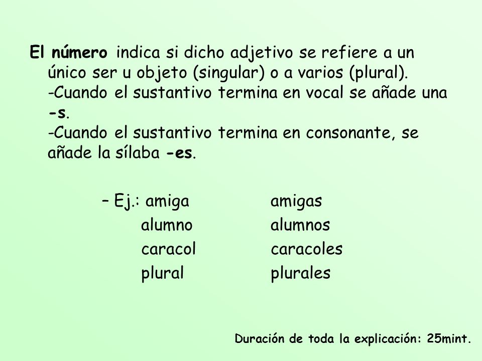 El número indica si dicho adjetivo se refiere a un único ser u objeto (singular) o a varios (plural). -Cuando el sustantivo termina en vocal se añade una -s. -Cuando el sustantivo termina en consonante, se añade la sílaba -es.