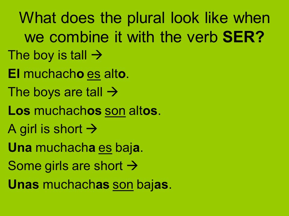 What does the plural look like when we combine it with the verb SER