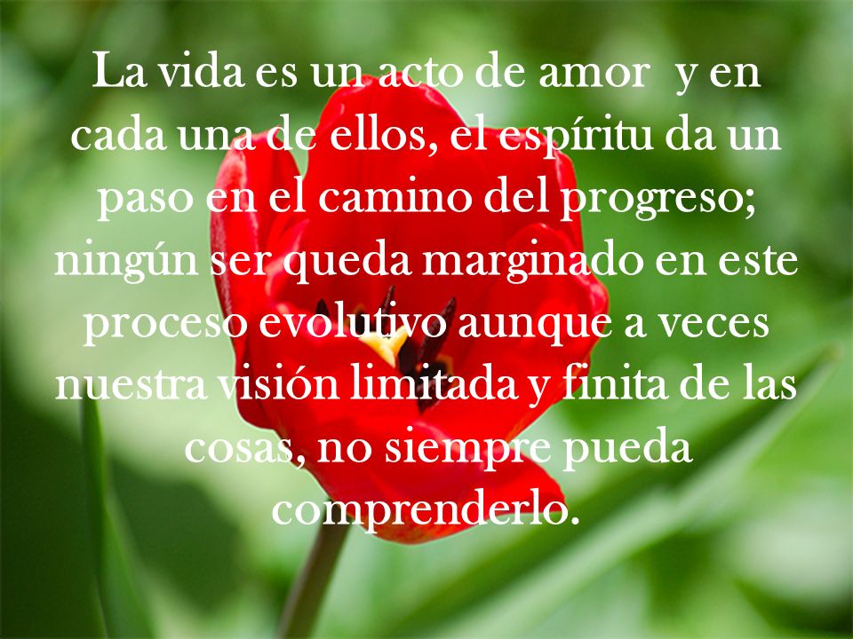 La vida es un acto de amor y en cada una de ellos, el espíritu da un paso en el camino del progreso; ningún ser queda marginado en este proceso evolutivo aunque a veces nuestra visión limitada y finita de las cosas, no siempre pueda comprenderlo.