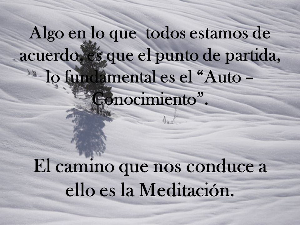 Algo en lo que todos estamos de acuerdo, es que el punto de partida, lo fundamental es el Auto – Conocimiento .