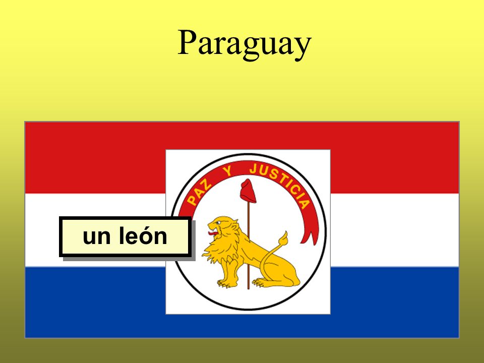 Paraguay un león