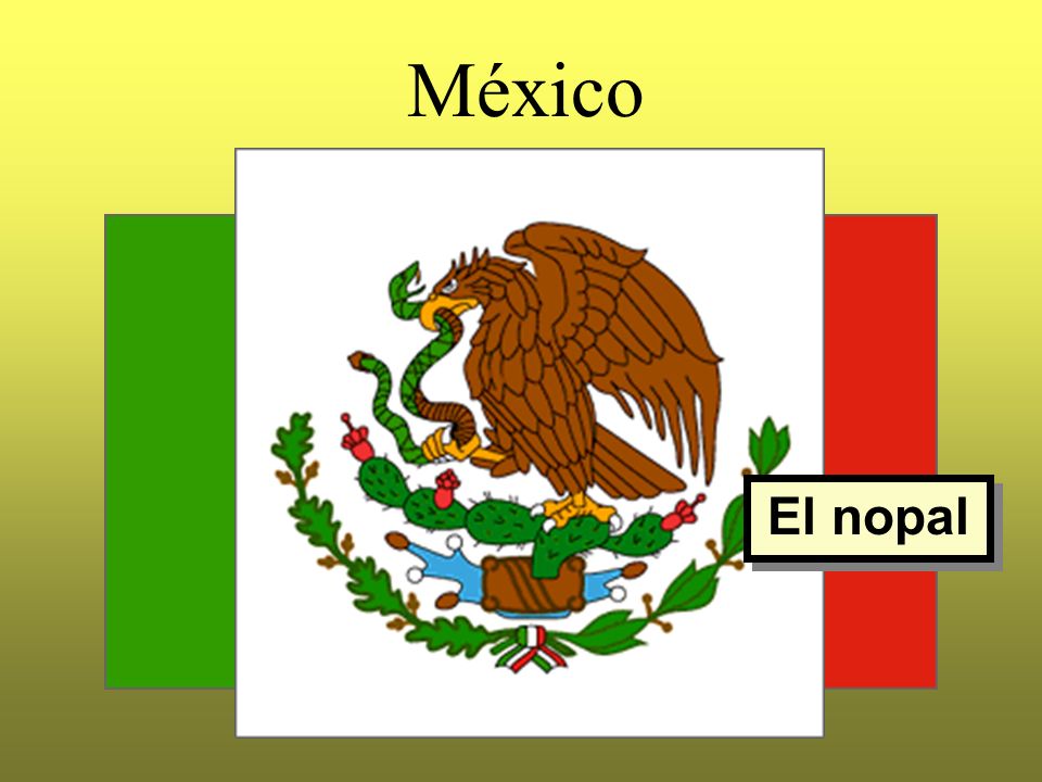 México El nopal