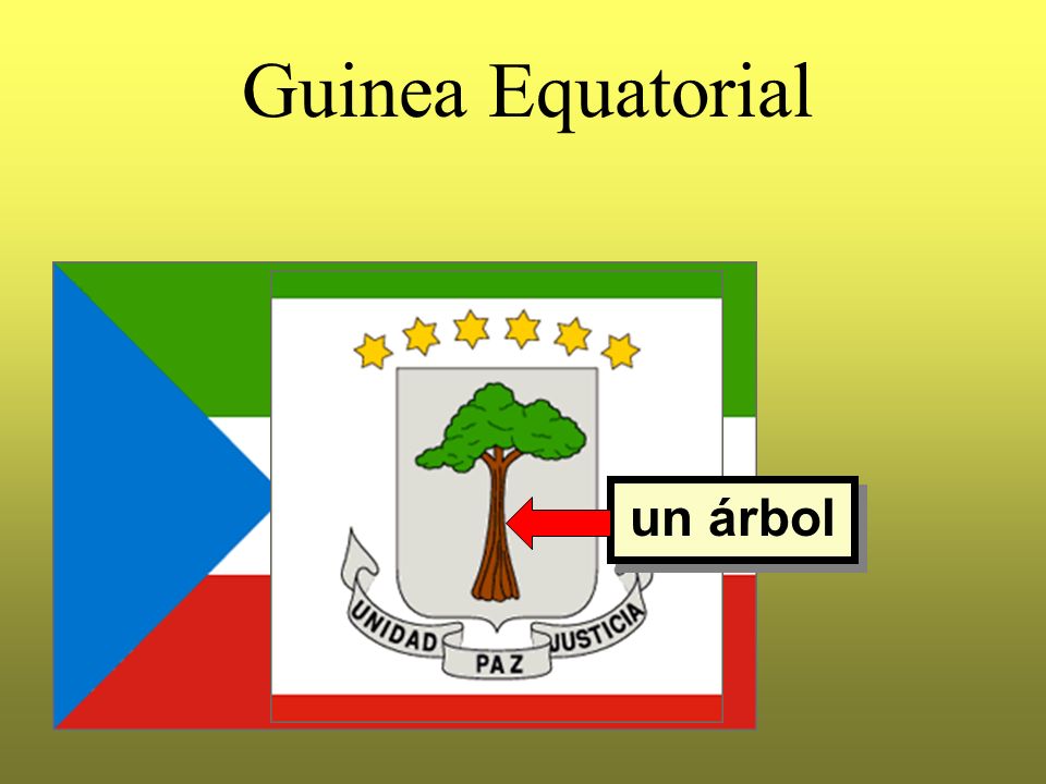 Guinea Equatorial un árbol