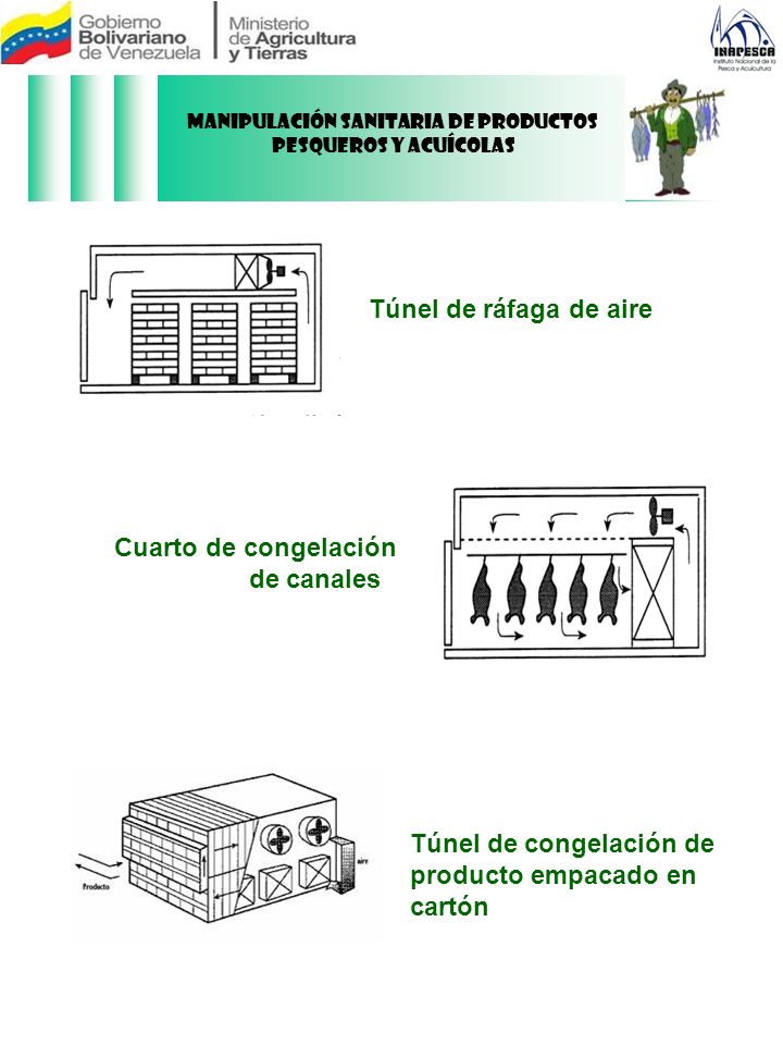 Manipulación Sanitaria de Productos