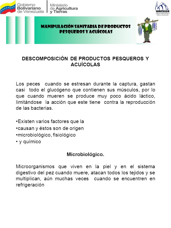 DESCOMPOSICIÓN DE PRODUCTOS PESQUEROS Y ACUÍCOLAS