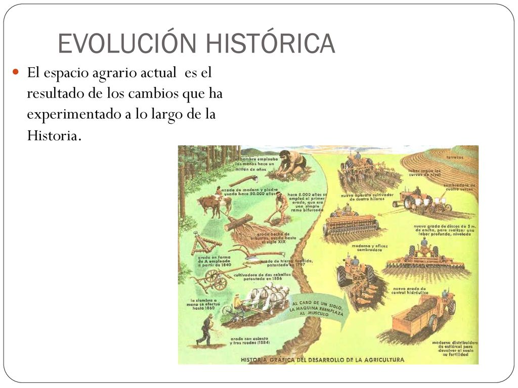 EVOLUCIÓN HISTÓRICA El espacio agrario actual es el resultado de los cambios que ha experimentado a lo largo de la Historia.