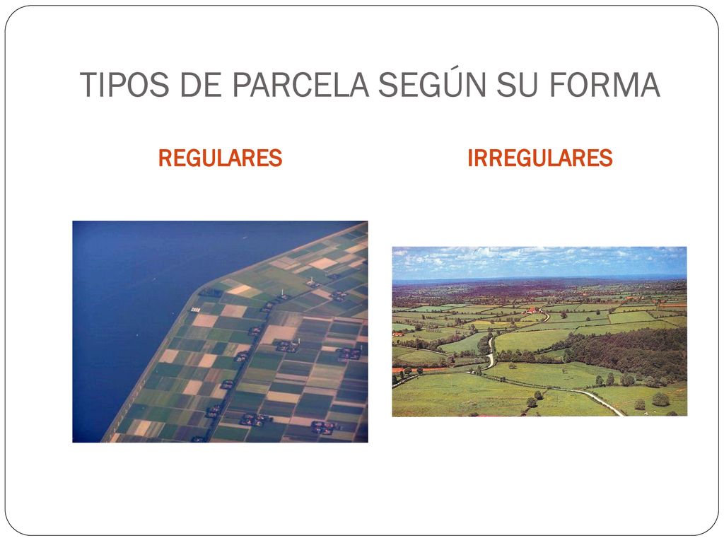 TIPOS DE PARCELA SEGÚN SU FORMA