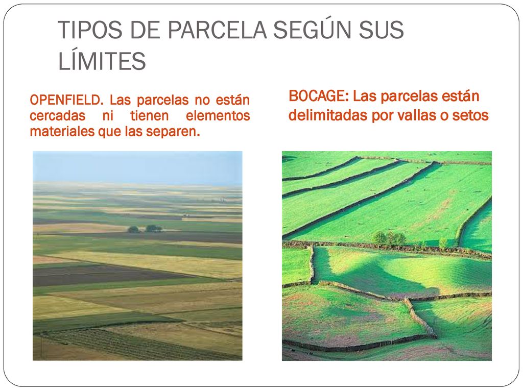 TIPOS DE PARCELA SEGÚN SUS LÍMITES