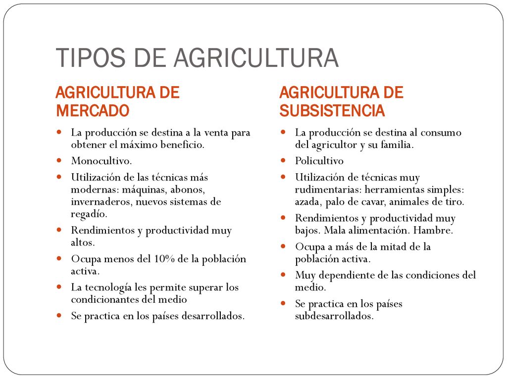 TIPOS DE AGRICULTURA AGRICULTURA DE MERCADO