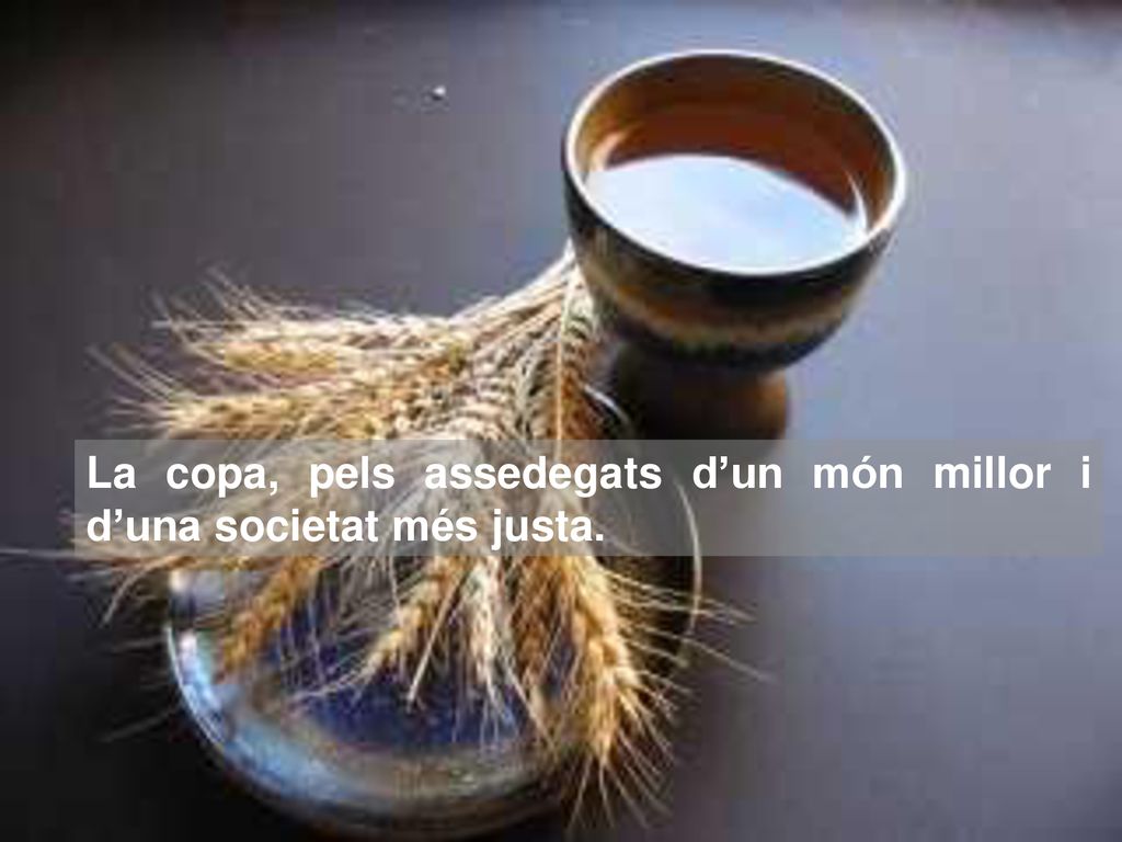 La copa, pels assedegats d’un món millor i d’una societat més justa.