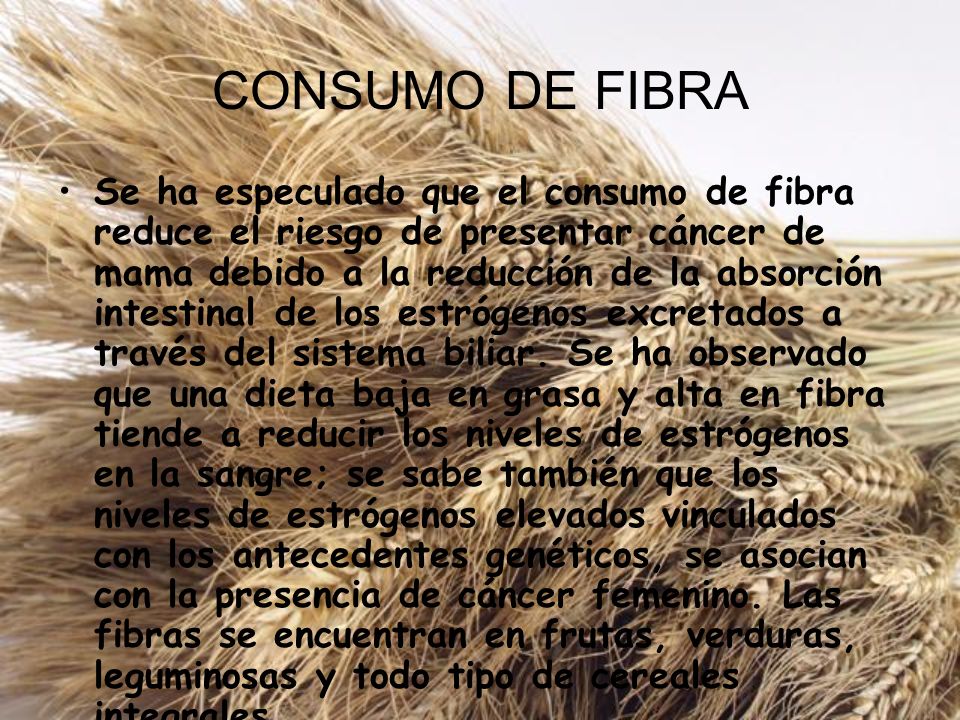 CONSUMO DE FIBRA