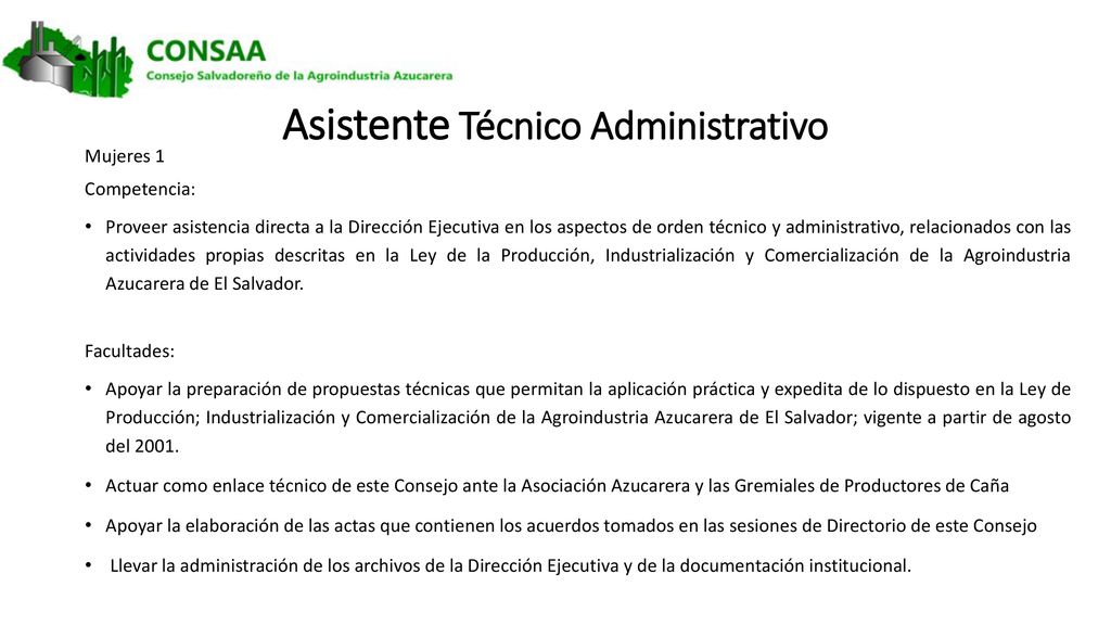 Asistente Técnico Administrativo