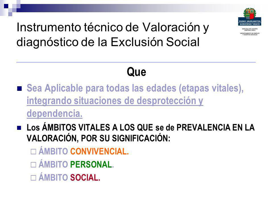 Instrumento técnico de Valoración y diagnóstico de la Exclusión Social