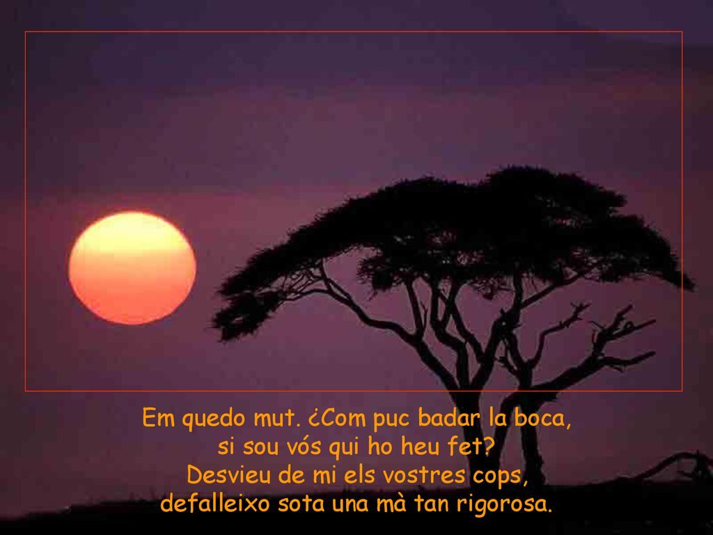 Em quedo mut. ¿Com puc badar la boca, si sou vós qui ho heu fet