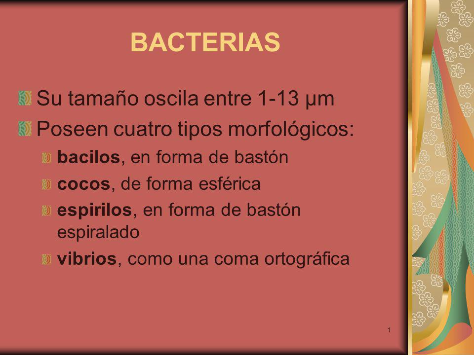 BACTERIAS Su tamaño oscila entre 1-13 µm