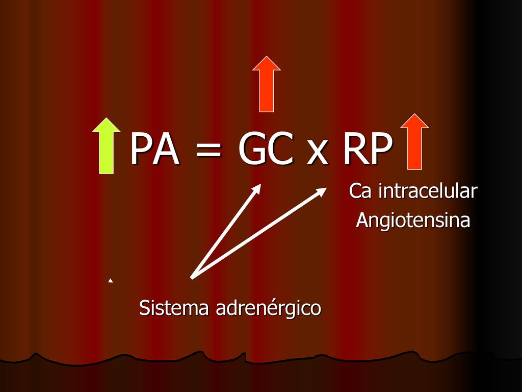PA = GC x RP Ca intracelular Angiotensina Sistema adrenérgico