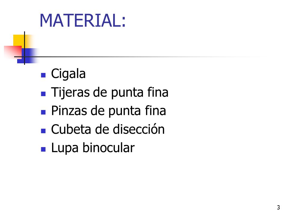 MATERIAL: Cigala Tijeras de punta fina Pinzas de punta fina