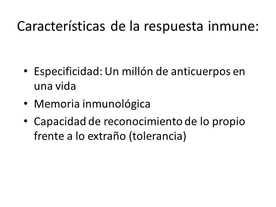 Características de la respuesta inmune: