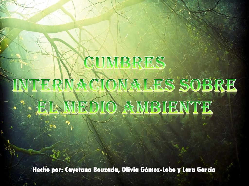 Hecho por: Cayetana Bouzada, Olivia Gómez-Lobo y Lara García
