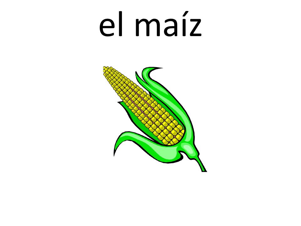 el maíz