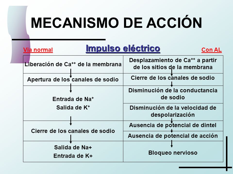 MECANISMO DE ACCIÓN Impulso eléctrico Ausencia de potencial de acción