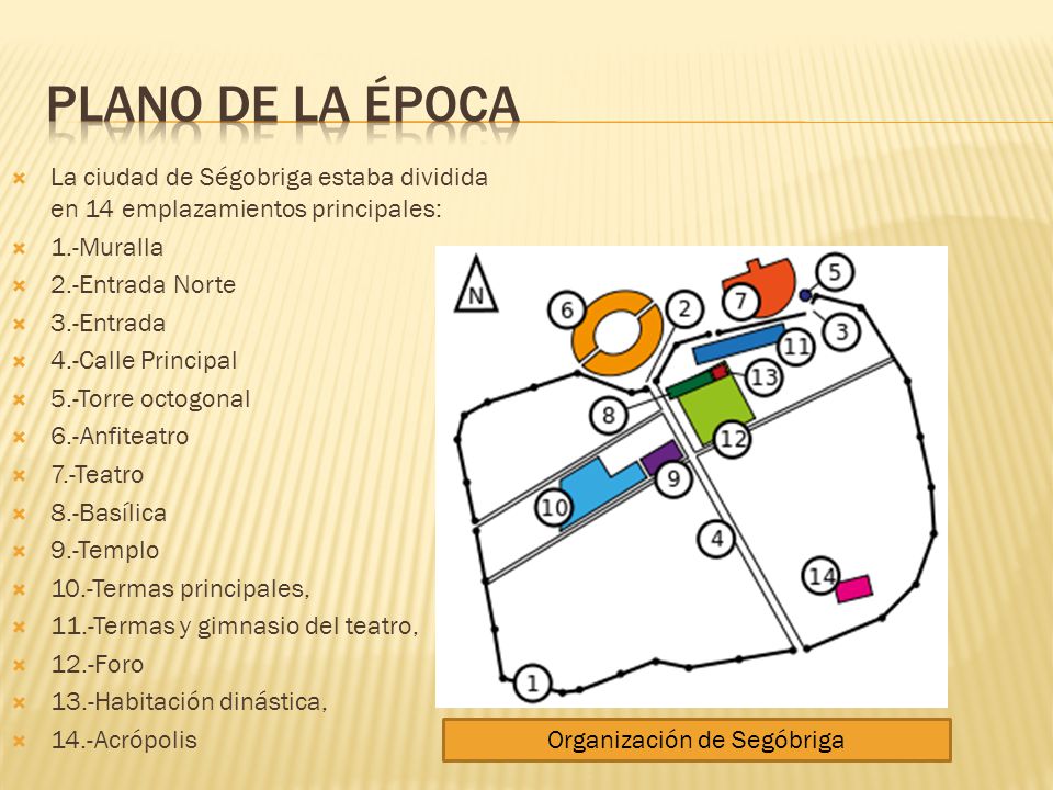 Organización de Segóbriga