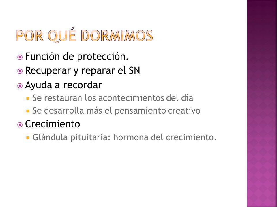 Por qué dormimos Función de protección. Recuperar y reparar el SN