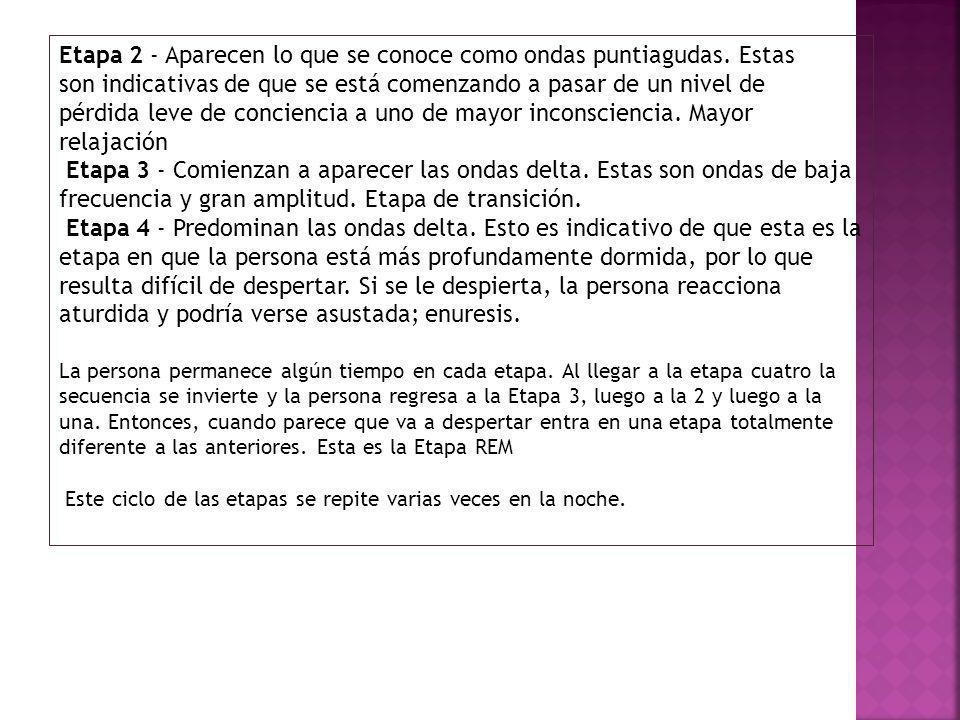 Etapa 2 - Aparecen lo que se conoce como ondas puntiagudas. Estas