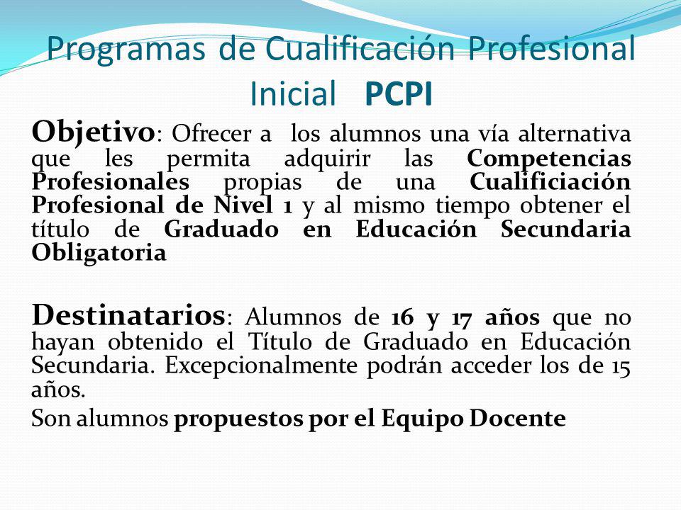 Programas de Cualificación Profesional Inicial PCPI
