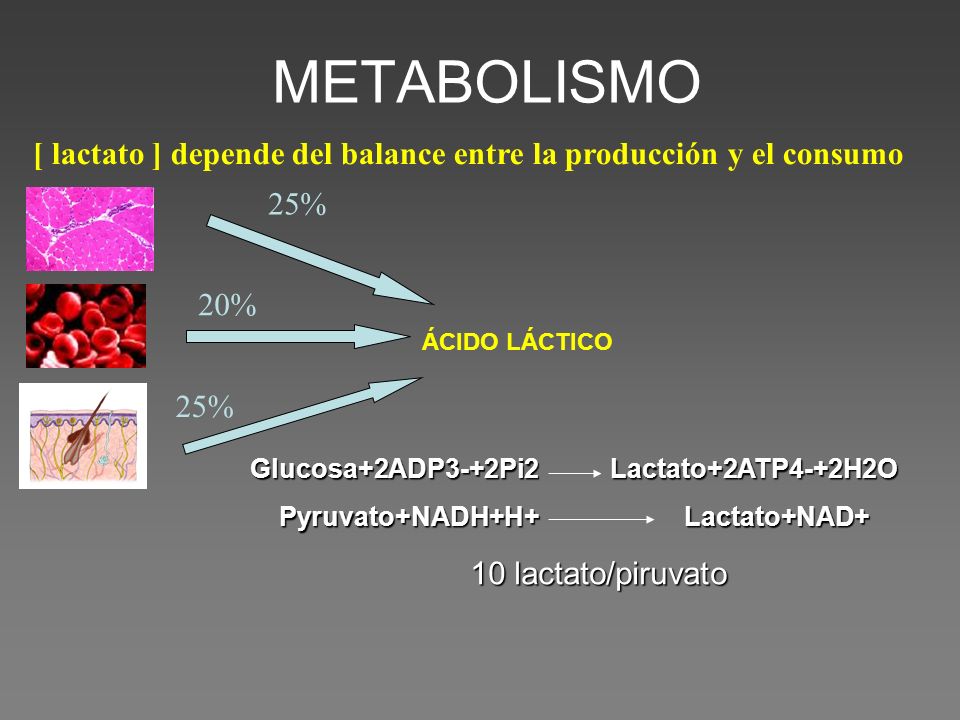 [ lactato ] depende del balance entre la producción y el consumo