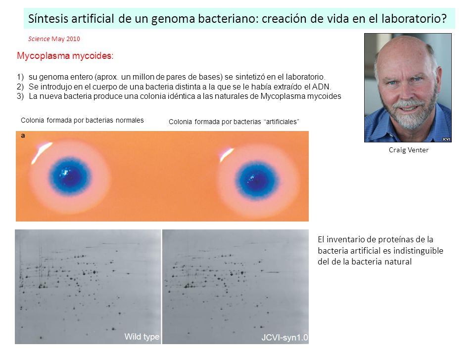 Síntesis artificial de un genoma bacteriano: creación de vida en el laboratorio