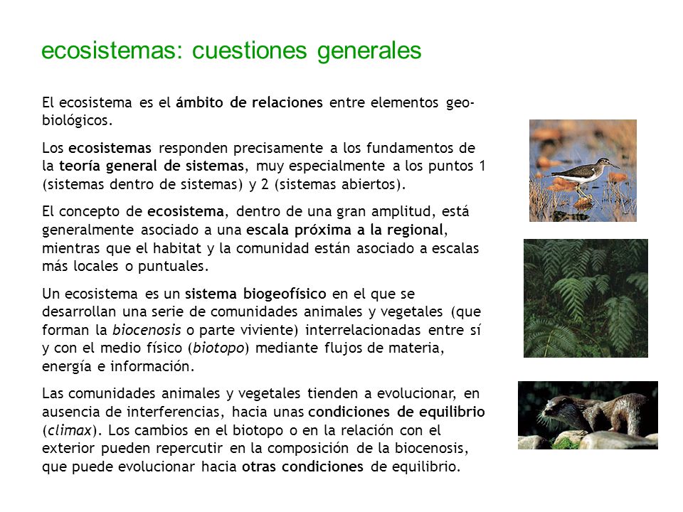 o sobre los ecosistemas sensu lato - ppt video online descargar