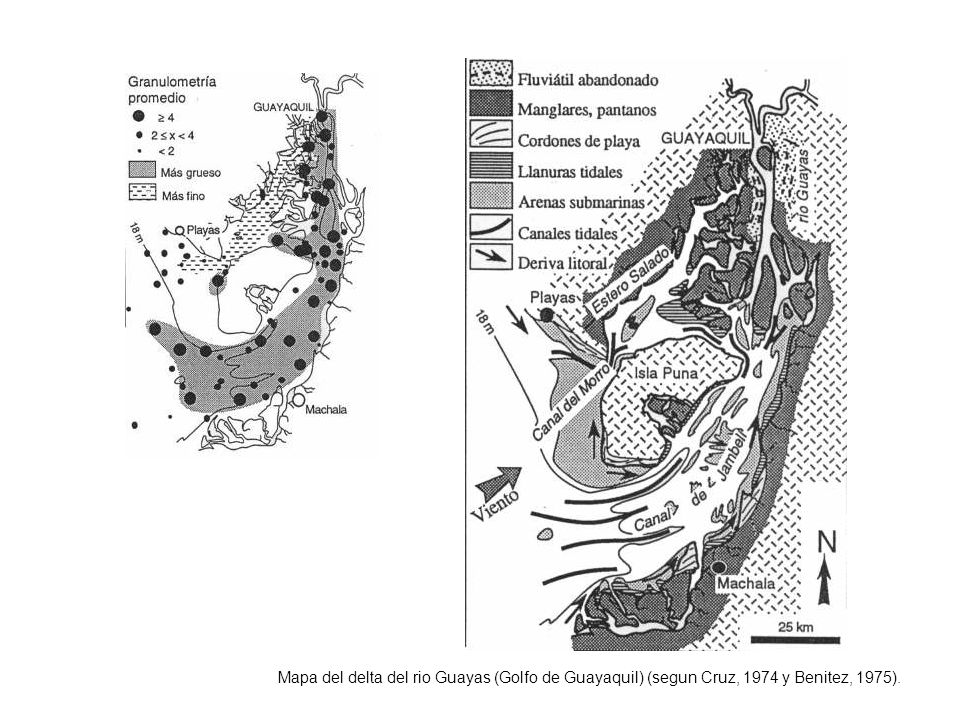 Mapa del delta del rio Guayas (Golfo de Guayaquil) (segun Cruz, 1974 y Benitez, 1975).