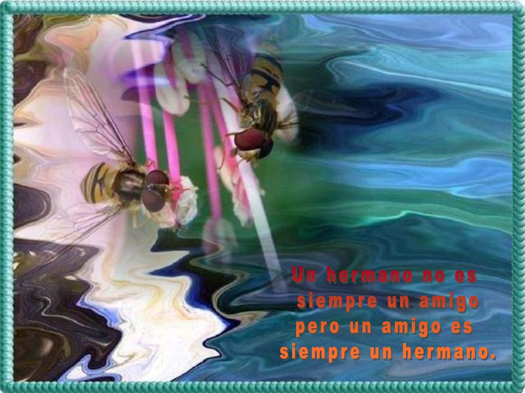 Un hermano no es siempre un amigo pero un amigo es siempre un hermano.