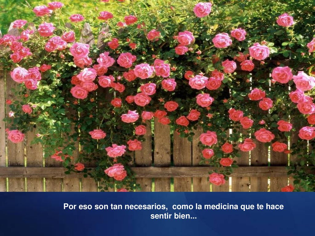 Por eso son tan necesarios, como la medicina que te hace sentir bien...