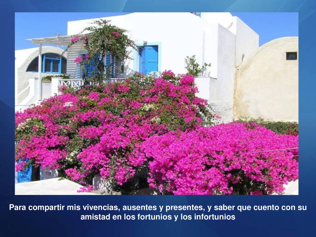 Para compartir mis vivencias, ausentes y presentes, y saber que cuento con su amistad en los fortunios y los infortunios