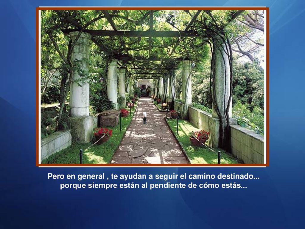 Pero en general , te ayudan a seguir el camino destinado
