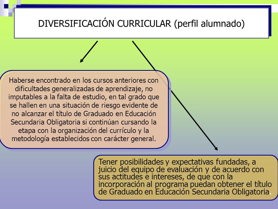 DIVERSIFICACIÓN CURRICULAR (perfil alumnado)